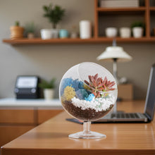 Load image into Gallery viewer, 6" Glass Chalice Succulent Terrarium Kit