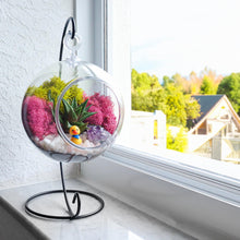 Load image into Gallery viewer, 5" Acrylic Globe Succulent Terrarium Kit (Kid Friendly) - Creations by Nathalie