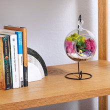 Load image into Gallery viewer, 5" Acrylic Globe Succulent Terrarium Kit (Kid Friendly) - Creations by Nathalie