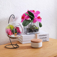 Load image into Gallery viewer, 5" Acrylic Globe Succulent Terrarium Kit (Kid Friendly) - Creations by Nathalie