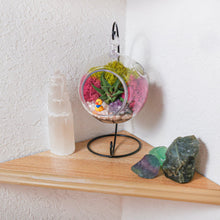 Load image into Gallery viewer, 5" Acrylic Globe Succulent Terrarium Kit (Kid Friendly) - Creations by Nathalie
