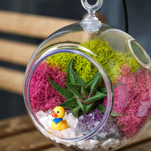 Load image into Gallery viewer, 5" Acrylic Globe Succulent Terrarium Kit (Kid Friendly) - Creations by Nathalie
