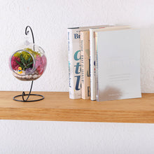 Load image into Gallery viewer, 5" Acrylic Globe Succulent Terrarium Kit (Kid Friendly) - Creations by Nathalie