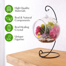 Load image into Gallery viewer, 5" Acrylic Globe Succulent Terrarium Kit (Kid Friendly) - Creations by Nathalie