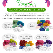Load image into Gallery viewer, 5" Acrylic Globe Succulent Terrarium Kit (Kid Friendly) - Creations by Nathalie