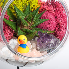 Load image into Gallery viewer, 5" Acrylic Globe Succulent Terrarium Kit (Kid Friendly) - Creations by Nathalie