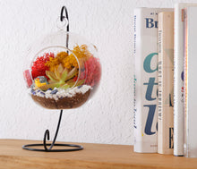 Load image into Gallery viewer, 5" Glass Globe Succulent Terrarium Kit - Creations by Nathalie