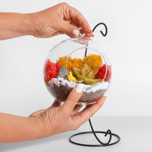 Load image into Gallery viewer, 5" Glass Globe Succulent Terrarium Kit - Creations by Nathalie