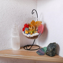 Load image into Gallery viewer, 5" Glass Globe Succulent Terrarium Kit - Creations by Nathalie