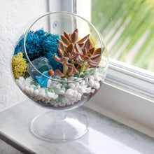 Load image into Gallery viewer, 6" Glass Chalice Succulent Terrarium Kit - Creations by Nathalie