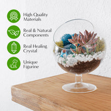 Load image into Gallery viewer, 6" Glass Chalice Succulent Terrarium Kit - Creations by Nathalie