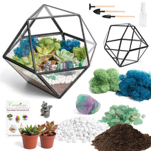 Load image into Gallery viewer, 7” Geometric Black Glass Succulent Terrarium Kit - Creations by Nathalie