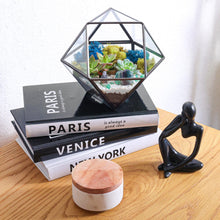 Load image into Gallery viewer, 7” Geometric Black Glass Succulent Terrarium Kit - Creations by Nathalie