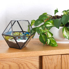 Load image into Gallery viewer, 7” Geometric Black Glass Succulent Terrarium Kit - Creations by Nathalie
