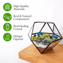 Load image into Gallery viewer, 7” Geometric Black Glass Succulent Terrarium Kit - Creations by Nathalie