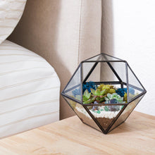 Load image into Gallery viewer, 7” Geometric Black Glass Succulent Terrarium Kit - Creations by Nathalie