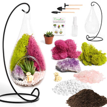 Load image into Gallery viewer, 7" Glass Tear Drop Succulent Terrarium Kit - Creations by Nathalie