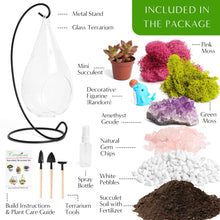 Load image into Gallery viewer, 7" Glass Tear Drop Succulent Terrarium Kit - Creations by Nathalie