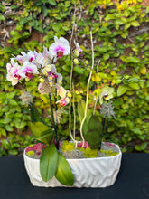 Load image into Gallery viewer, Mini Lux Boat Garden