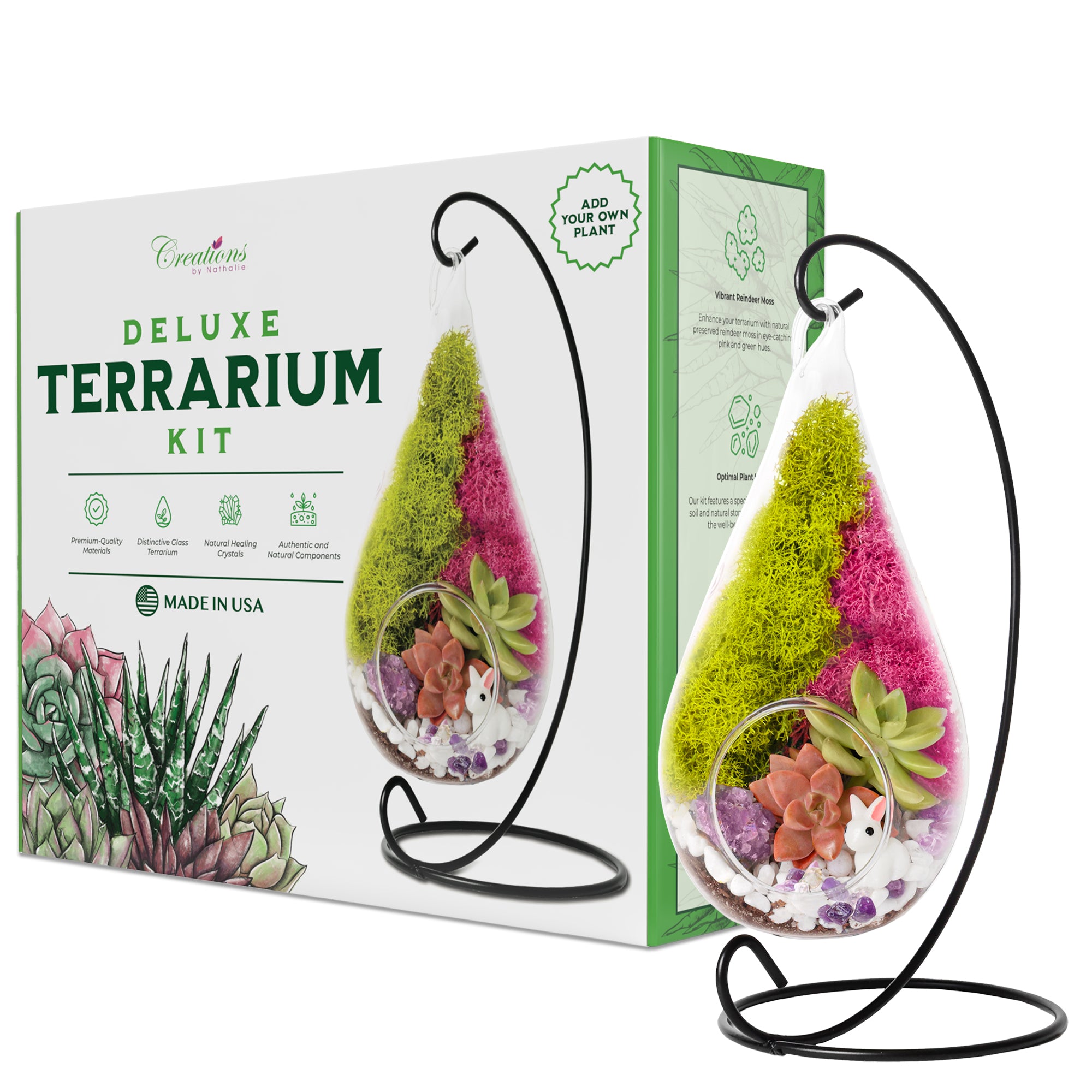 succulent indoors kit 7" Glass Tear Drop Succulent Terrarium Kit
