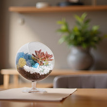 Load image into Gallery viewer, 6" Glass Chalice Succulent Terrarium Kit