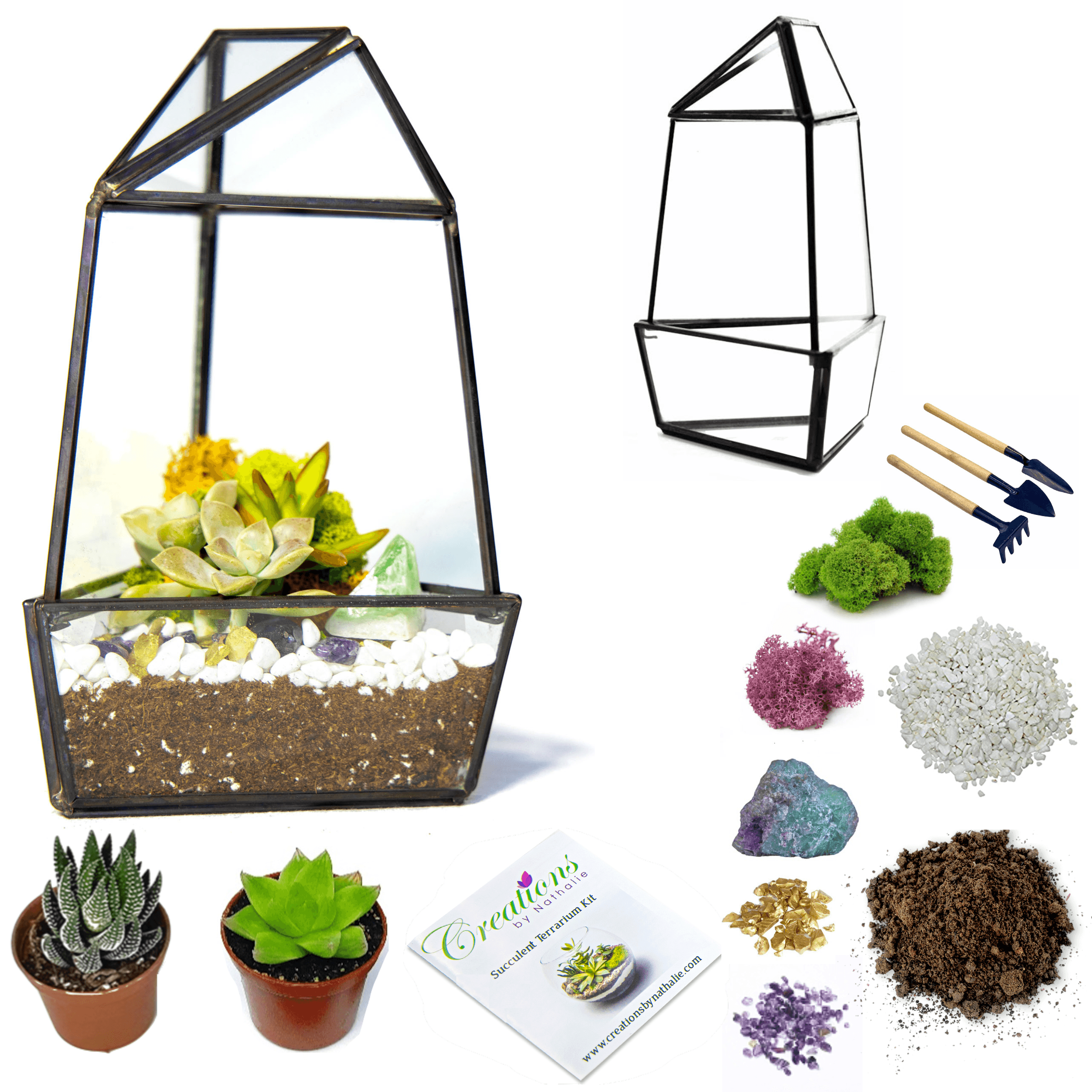 Complete Terrarium Building Kit Succulent Plant Kit 