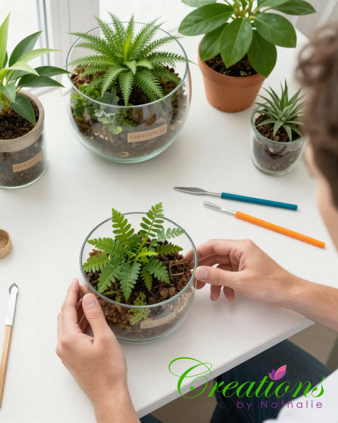 How DIY Terrarium Kits Can Boost Your Mental Well-Being and Creativity
