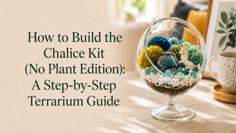 How to Build the Chalice Kit (No Plant Edition): A Step-by-Step Terrarium Guide