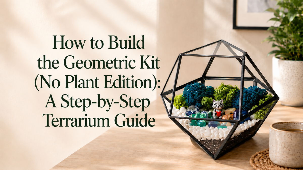 How to Build the Geometric Kit (No Plant Edition): A Step-by-Step Terrarium Guide