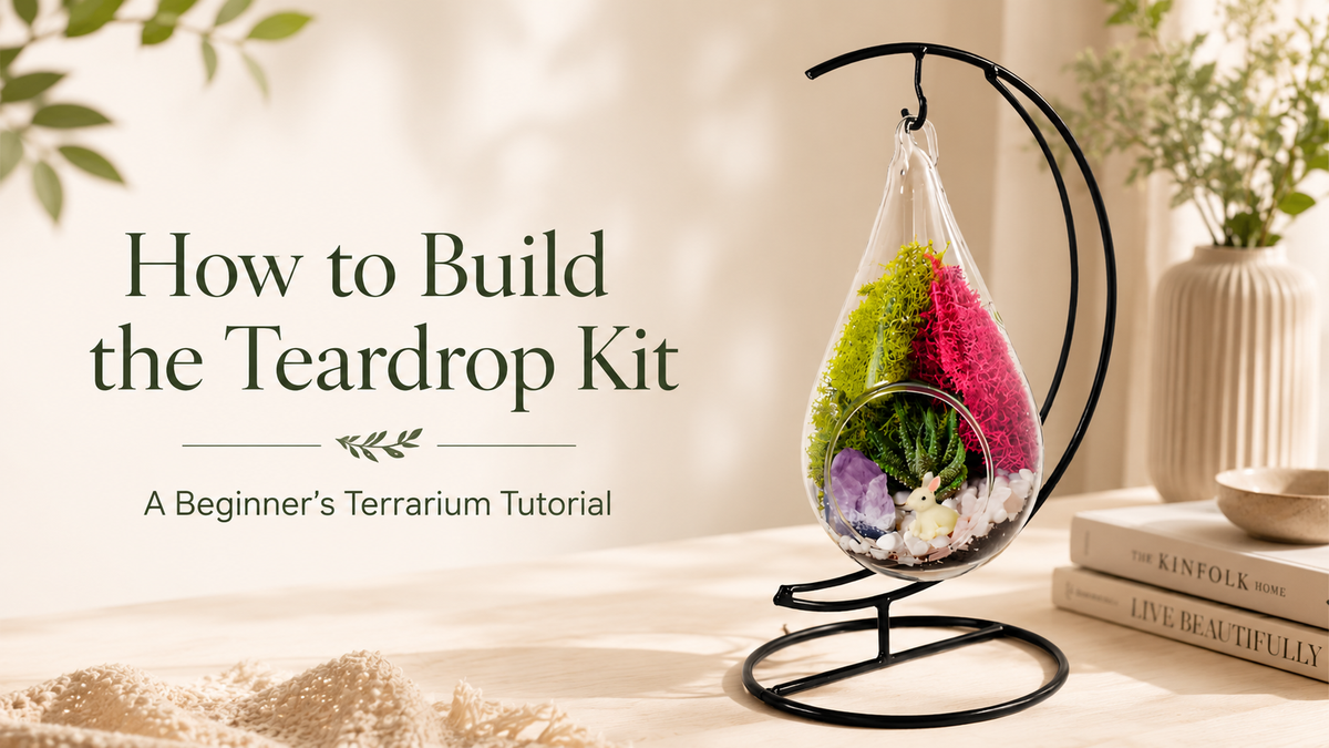 How to Build the Teardrop Kit: A Beginner's Terrarium Tutorial