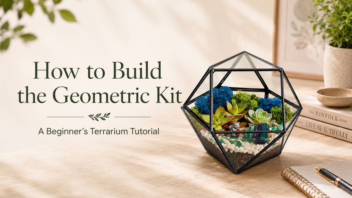 How to Build the Geometric Kit: A Beginner's Terrarium Tutorial