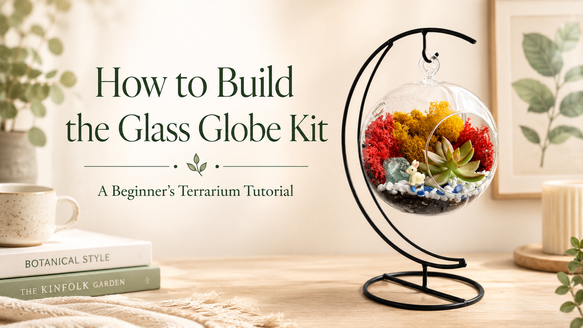 How to Build the Glass Globe Kit: A Beginner's Terrarium Tutorial