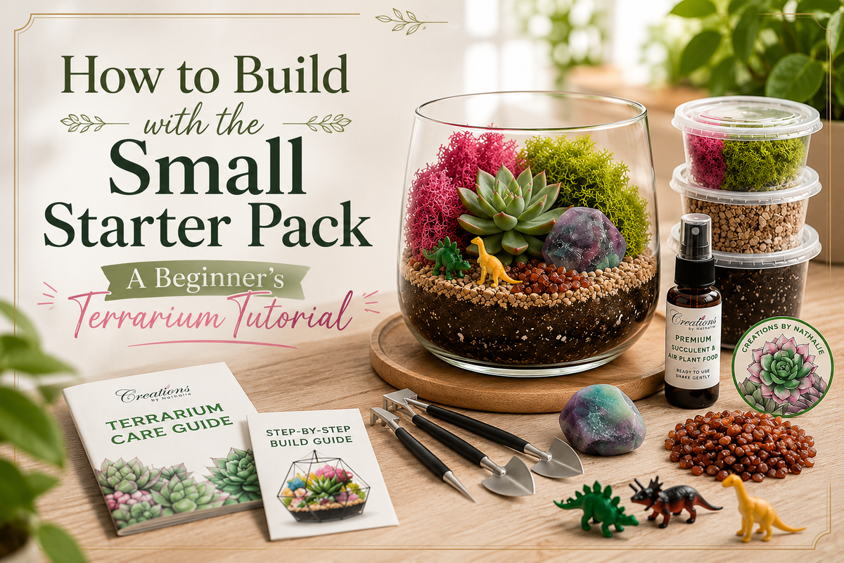 How to Build with the Small Starter Pack: A Beginner's Terrarium Tutorial