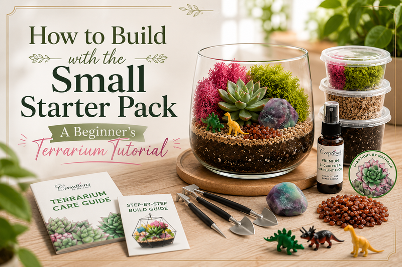 How to Build with the Small Starter Pack: A Beginner's Terrarium Tutorial