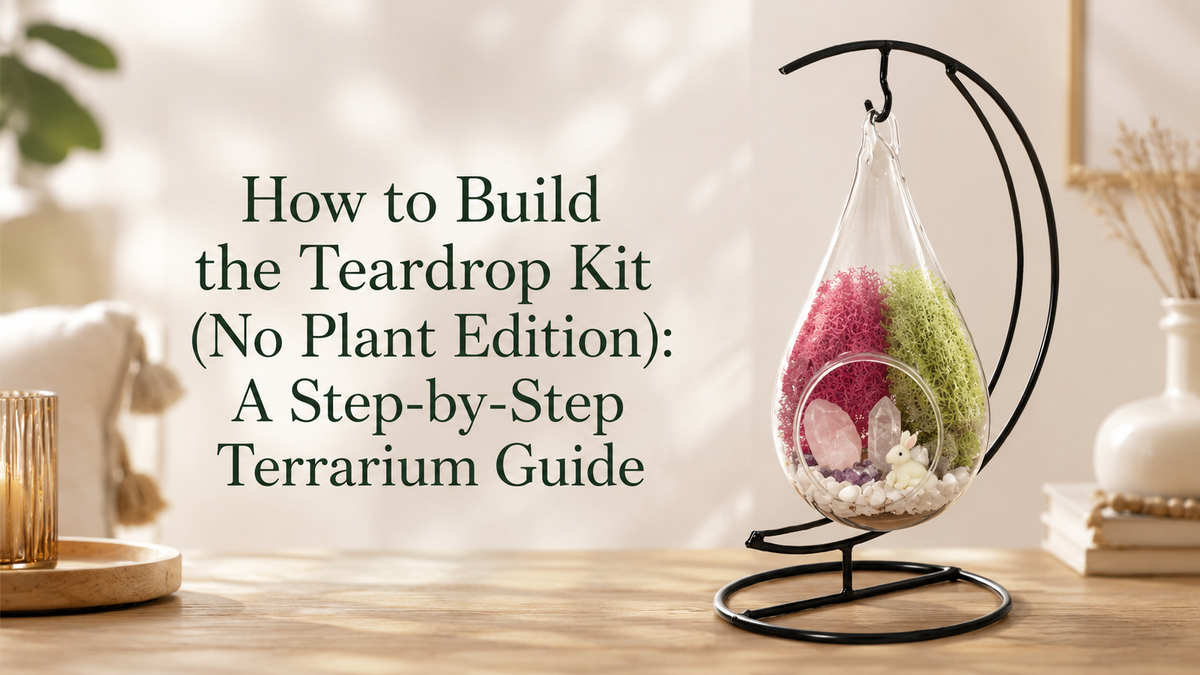 How to Build the Teardrop Kit (No Plant Edition): A Step-by-Step Terrarium Guide