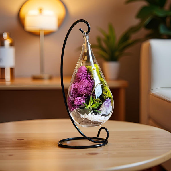 Best Desk Plants for Productivity and Focus