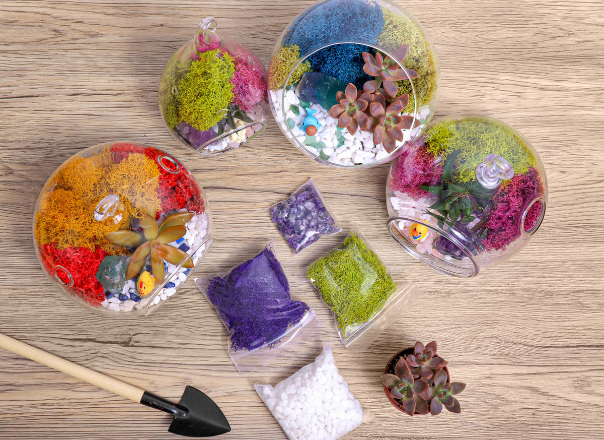 A collection of assembled terrariums surrounded by kit components, showcasing the variety and craft of DIY terrarium-making