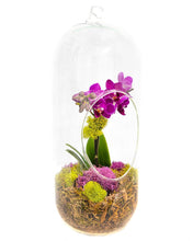 Load image into Gallery viewer, 12&quot; Glass Cylinder Orchid Terrarium - Creations by Nathalie