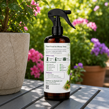 Load image into Gallery viewer, Creations by Nathalie Money Tree Plant Food Spray, Ready-to-Use Liquid Fertilizer for Indoor Plants, Indoor Plant Food for Houseplants, Plant Food for Indoor Plants, House Plant Food, 8 Fl Oz