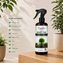 Load image into Gallery viewer, Creations by Nathalie Money Tree Plant Food Spray, Ready-to-Use Liquid Fertilizer for Indoor Plants, Indoor Plant Food for Houseplants, Plant Food for Indoor Plants, House Plant Food, 8 Fl Oz