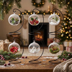 Hanging Glass Globe Terrarium with Stand — 5" Clear Glass Air Plant & Succulent Holder for DIY Kits, Home & Wedding Decor