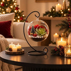 Hanging Glass Globe Terrarium with Stand — 5" Clear Glass Air Plant & Succulent Holder for DIY Kits, Home & Wedding Decor