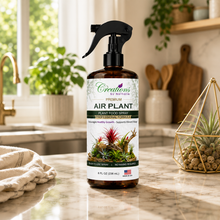 Load image into Gallery viewer, Creations by Nathalie Air Plant Food Spray, Ready-to-Use Liquid Plant Food for Air Plants &amp; Bromeliads, Indoor Fertilizer, 8 Fl Oz