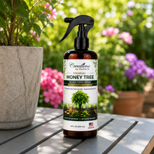 Load image into Gallery viewer, Creations by Nathalie Money Tree Plant Food Spray, Ready-to-Use Liquid Fertilizer for Indoor Plants, Indoor Plant Food for Houseplants, Plant Food for Indoor Plants, House Plant Food, 8 Fl Oz