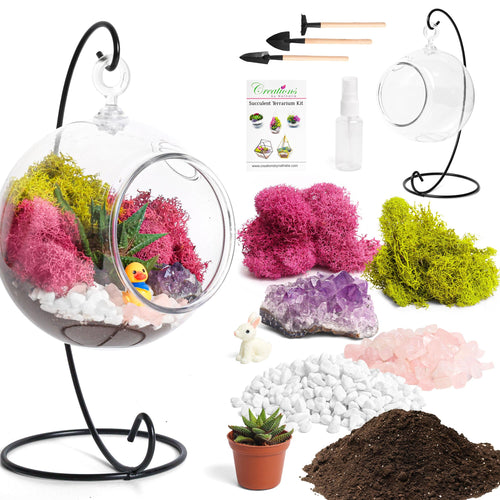 5" Acrylic Globe Succulent Terrarium Kit (Kid Friendly) - Creations by Nathalie