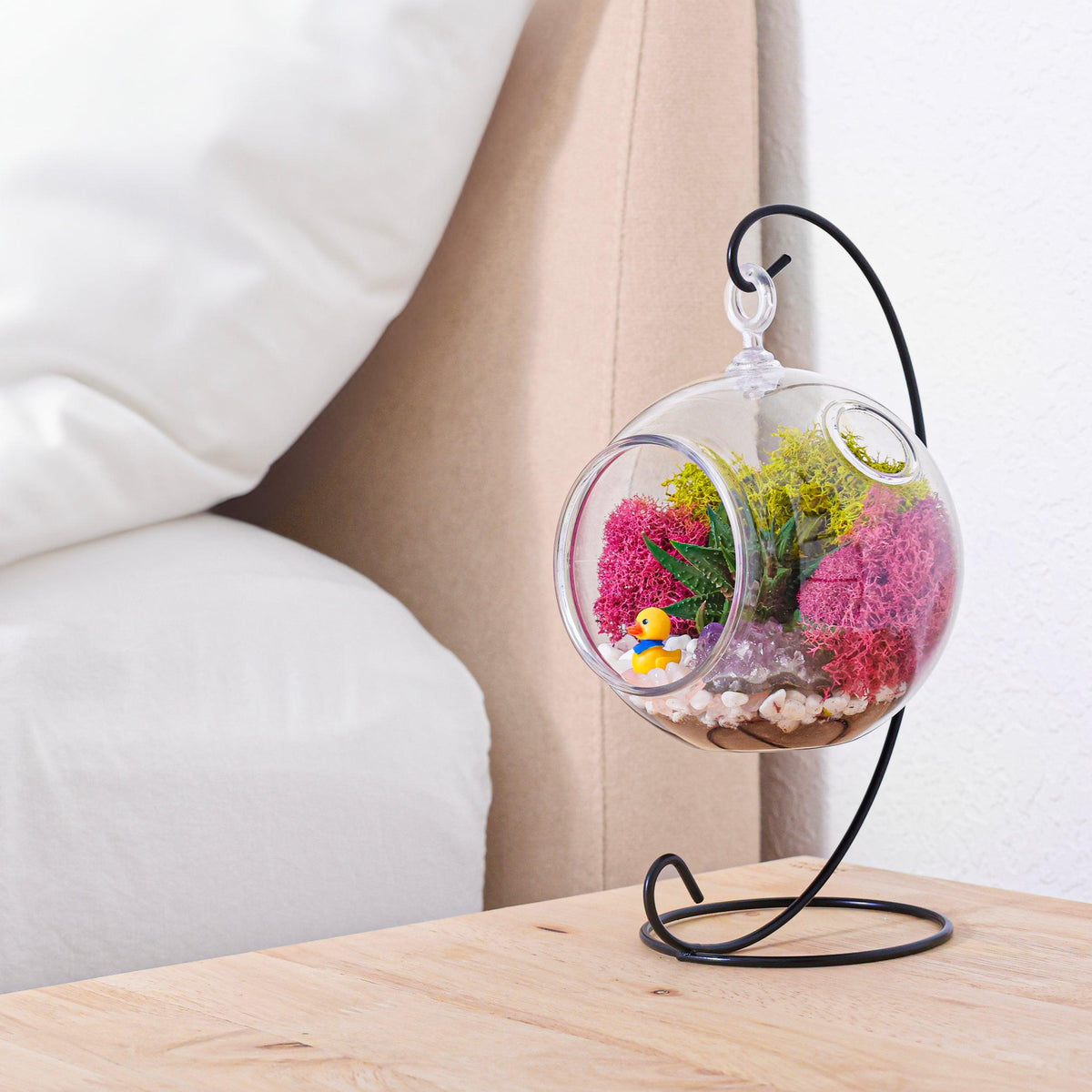 5" Acrylic Globe Succulent Terrarium Kit (Kid Friendly) - Creations by Nathalie