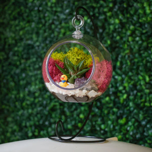 5" Acrylic Globe Succulent Terrarium Kit (Kid Friendly) - Creations by Nathalie
