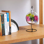 5" Acrylic Globe Succulent Terrarium Kit (Kid Friendly) - Creations by Nathalie