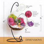 5" Acrylic Globe Succulent Terrarium Kit (Kid Friendly) - Creations by Nathalie