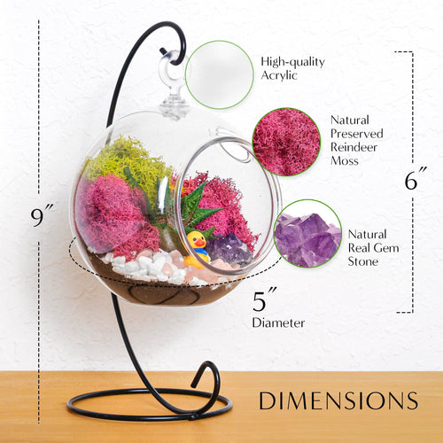 5" Acrylic Globe Succulent Terrarium Kit (Kid Friendly) - Creations by Nathalie
